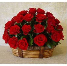 Stunning 24 Red Roses Basket